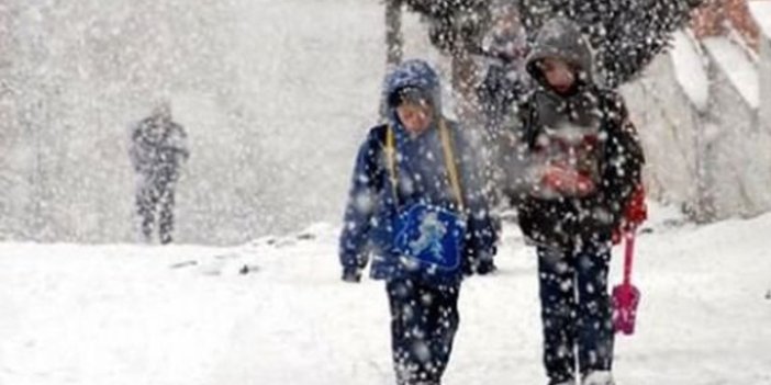 Kar yağışı Giresun'da eğitimi engelledi
