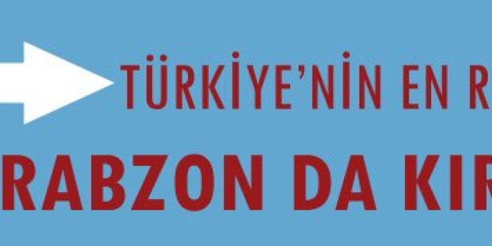 Trabzon Kırmızı listede. Türkiye’nin Bonzai haritası (Sentetik Kannabinoid)
