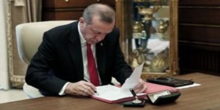 Cumhurbaşkanı Erdoğan'dan 19 kanuna onay!