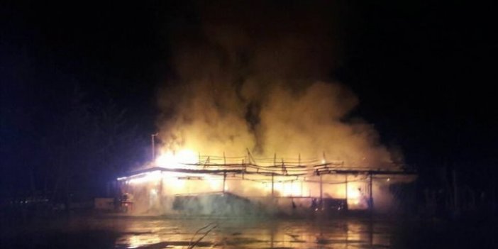 Samsun'da sosyal tesisler cayır cayır yandı