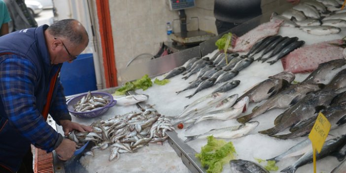 Balık fiyatlarında artış