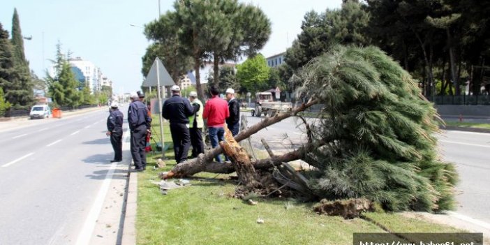 Samsun’da trafik kazası: 2 ağır yaralı