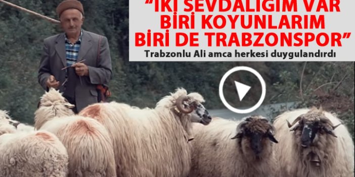İki sevdalığım var biri koyunlarım biri Trabzonspor