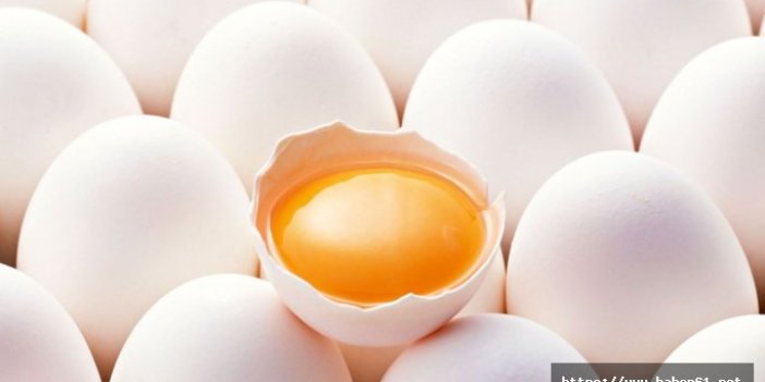 Yumurtanın yeni bir faydası ortaya çıktı