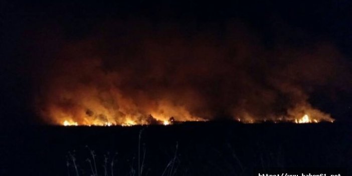 Samsun'da 15 bin metrekare sazlık alan yandı