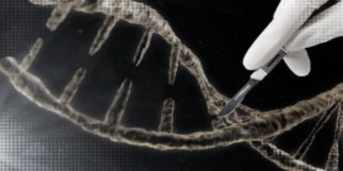 Genetikte dev adım!  İlk kez insan geni embriyosu değiştirildi