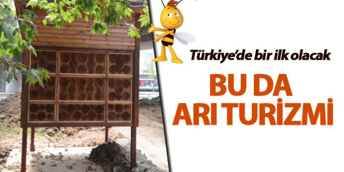 Trabzon'da yaban arıları için otel!