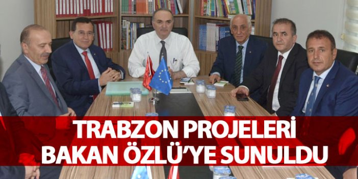 Trabzon projeleri Bakan Özlü'ye sunuldu