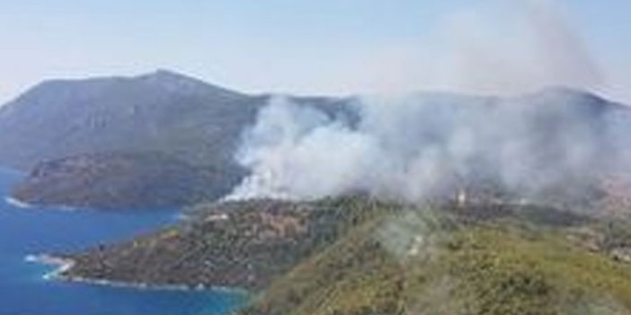 Ormanlık alanda yangın: Havadan ve karadan müdahale başladı