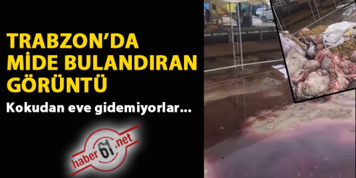 Trabzon'da mide bulandıran görüntü