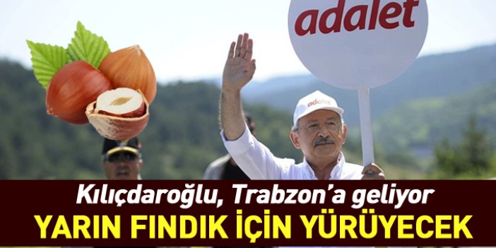 Kılıçdaroğlu, Trabzon'da fındık için yürüyecek