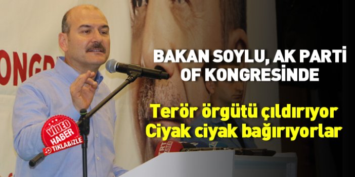 Bakan Soylu, AK Parti Of kongresinde