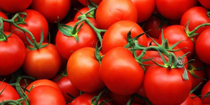 Rusya'ya domates yasağı kalkıyor mu? Bakan açıkladı