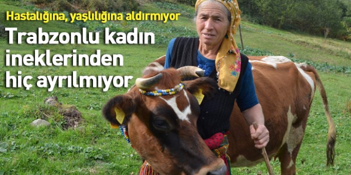 Trabzonlu kadın hayatını ineklerine adadı