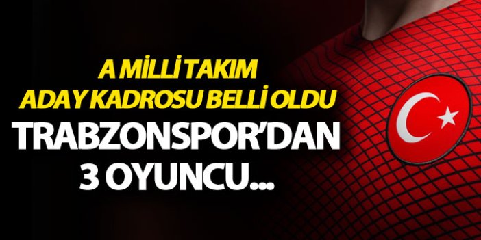 A Milli Takım aday kadrosu açıklandı: Trabzonspor'dan 3 oyuncu