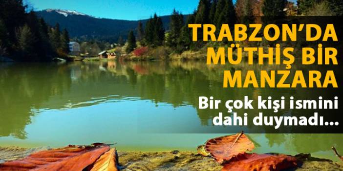 Trabzon'dan müthiş bir sonbahar manzarası
