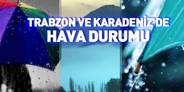 Trabzon ve Karadeniz'de hava durumu 08.11.2017