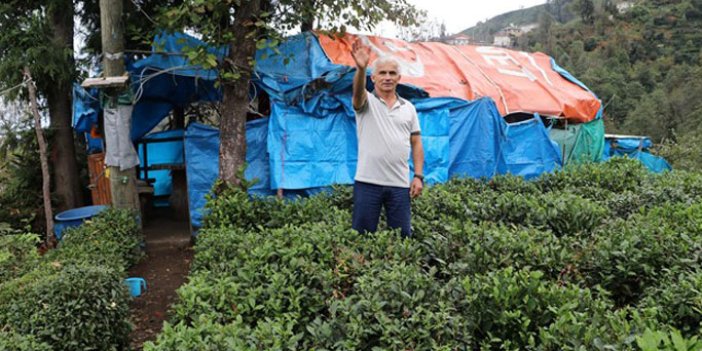 Rize'de yaşlı adam 15 yıldır çadırda yaşıyor