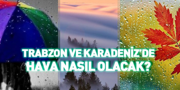 Trabzon ve Karadeniz'de hava durumu 09.11.2017