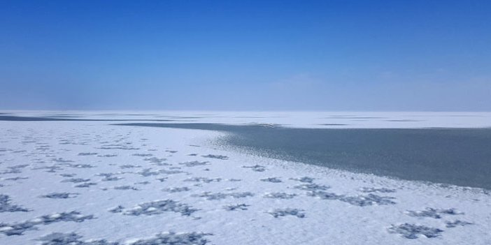 Seyfe Gölü Kuş Cenneti buz tuttu!