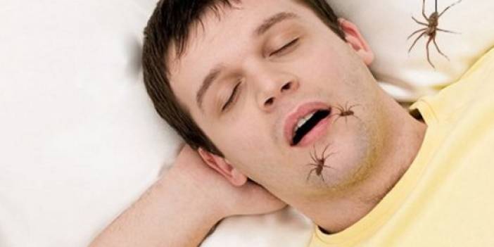 Uykuda örümcek yediğimiz doğru mu?