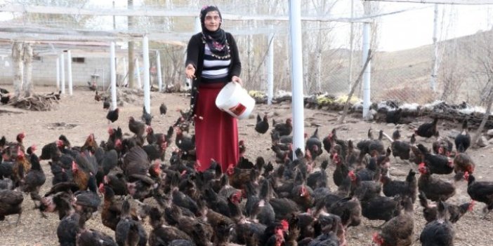 Kadın girişimci hibeyle organik yumurta çiftliği kurdu