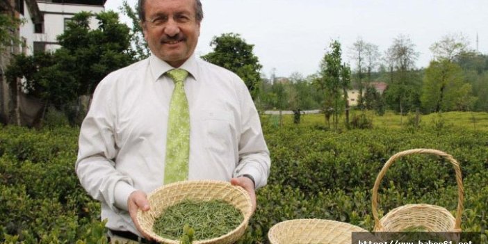 Karadeniz çayını tam 100 ülke tüketiyor