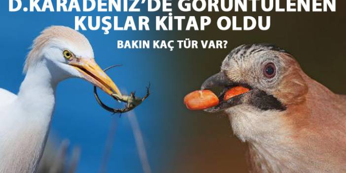 D.Karadeniz'de görüntülenen kuşlar kitap oldu
