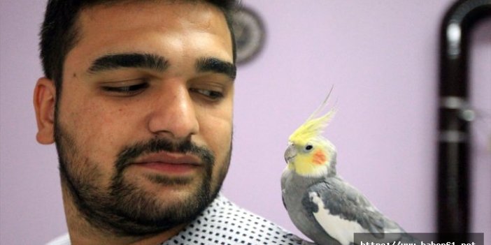 Sultan papağanı Ölürüm Türkiyem şarkısını söylüyor