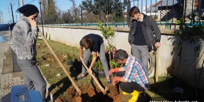 Oflu öğrenciler okul bahçesine meyve fidanı dikti