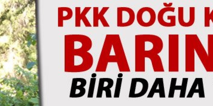 PKK Doğu Karadeniz'de barınamadı: Biri daha teslim oldu