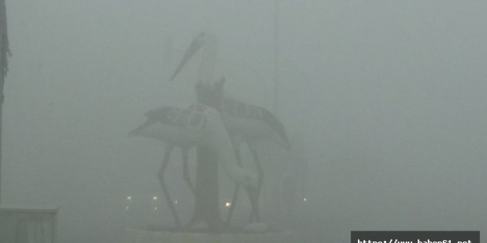 Iğdır'da yoğun sis hava ulaşımı engelledi