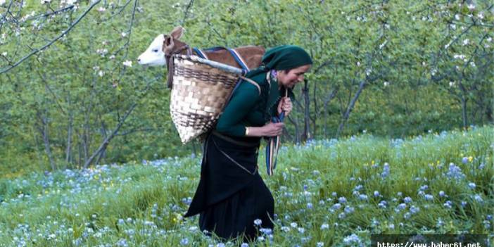 Karadeniz'in çalışkan kadınları