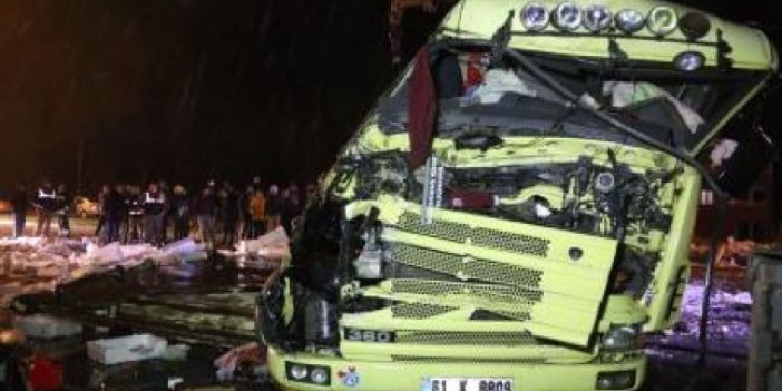 Trabzon plakalı kamyon kaza yaptı, tonlarca hamsi yola saçıldı