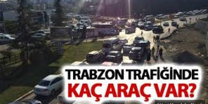 Trabzon'da trafikte kaç araç var?
