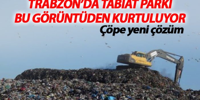 Trabzon'da tabiat parkı çöpten kurtuluyor