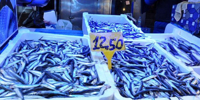 Karadeniz’de fırtına balık fiyatlarını katladı