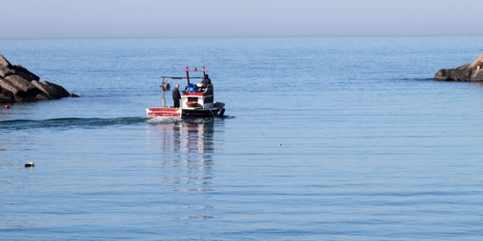 Karadeniz'in o ilinde balıkçılar şaşkın: "Denizde balık yok"