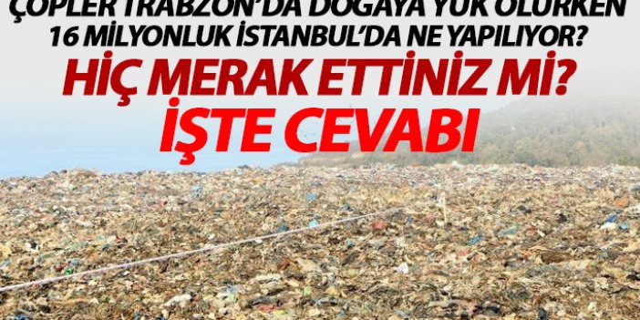 Çöpler Trabzon'da doğaya atılırken İstanbul'da bakın neler yapılıyor?