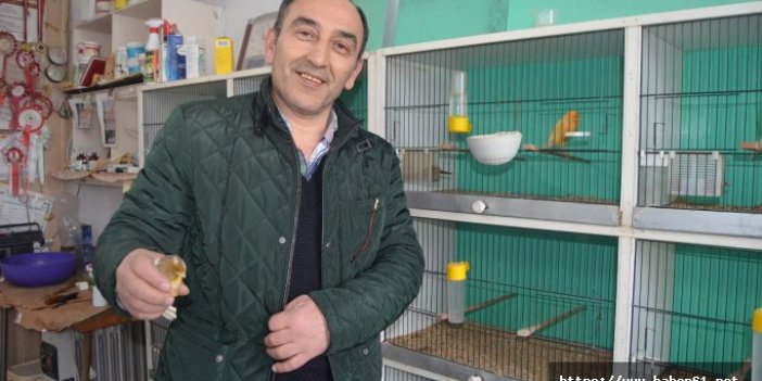Trabzon'da hobi için 3 katlı tarihi evde muhabbet kuşu besliyor 