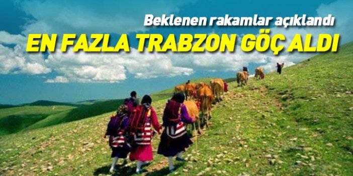 Doğu Karadeniz'de en fazla Trabzon göç aldı