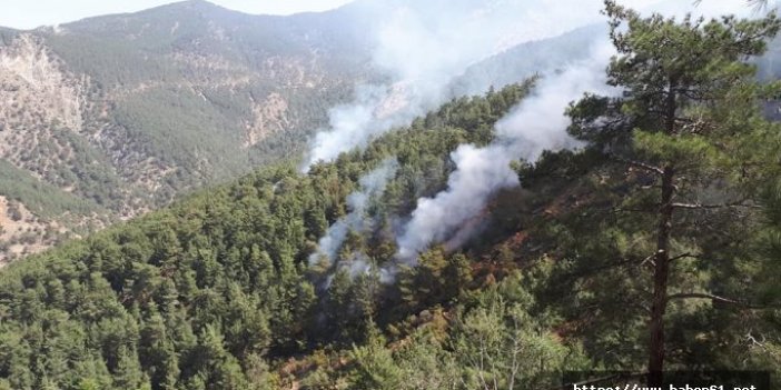 Saklanmaya çalışan teröristler orman yaktı
