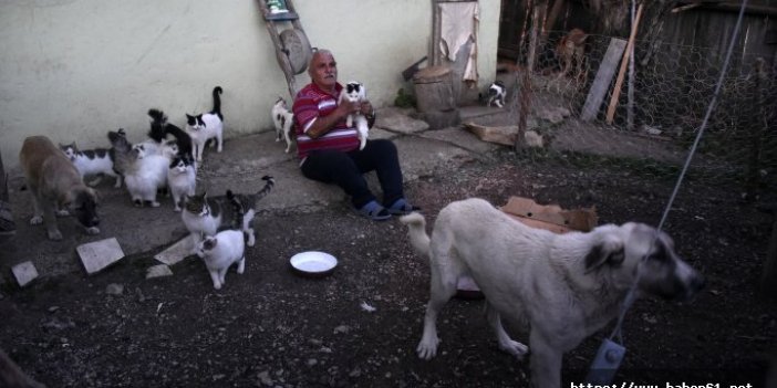 Emekli maaşıyla 25 kedi, 15 köpek besliyor 