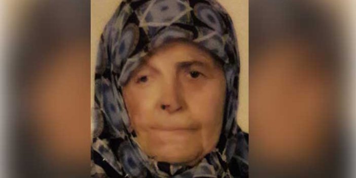 Kamyonetin çarptığı yaşlı kadın hayatını kaybetti 