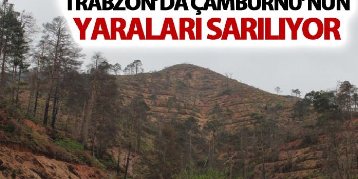 Trabzon'da Çamburnu'nun yaraları sarılıyor
