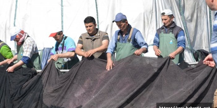 Hamside balıkçılar ve ihracat rakamları farklı konuşuyor