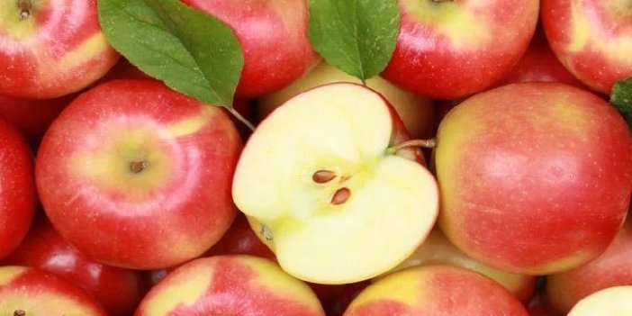 Rusya'ya ihracatta elma ve nar katkısı
