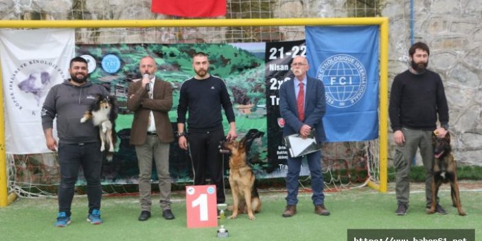 Trabzon'da köpekler şampiyona için podyuma çıkıyor