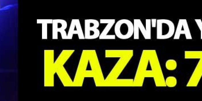 Trabzon'da yayla dönüşü kaza: 7 yaralı