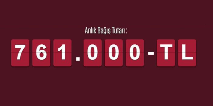 Trabzonspor'a destek ne kadar oldu? İşte son rakam